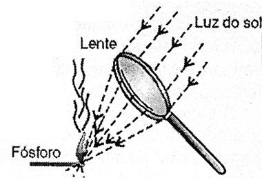 Figura 2
