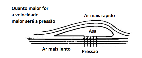 Figura 1 – A sustentação do avião em voo
