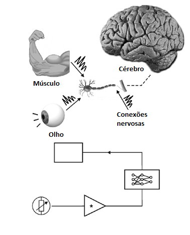 Figura 5 Adicionando inteligência através de uma rede neural.
