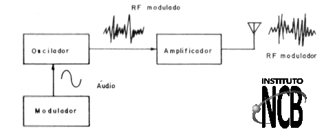 Figura 6
