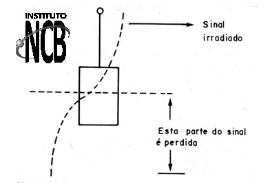 Figura 4
