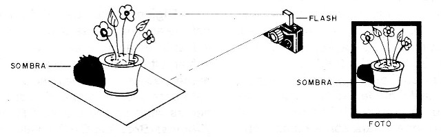 Figura 1 – Sombra em foto
