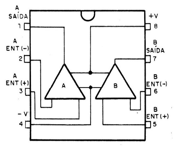 Figura 1 - Pinagem
