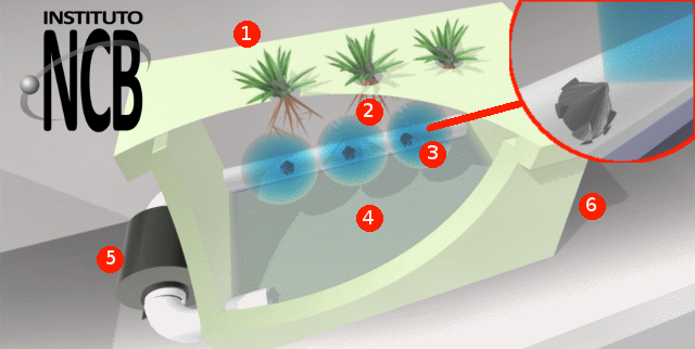 Figura 3 – Sistema simples – 1: Planta – 2: Raíz – 3: Bico injetor – 4: Nutrientes – 5: Bomba – 6: Recipiente de cultivo.
