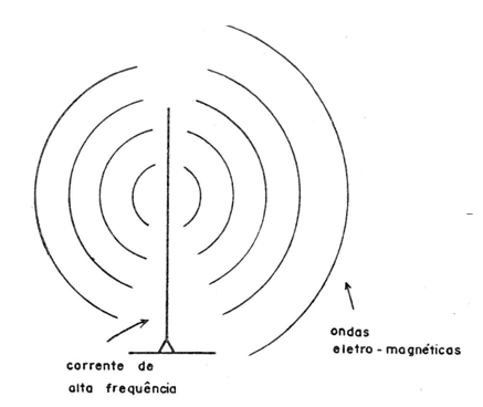 Figura 1
