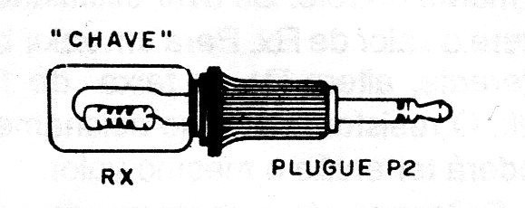  Figura 1 – O plugue “programado”
