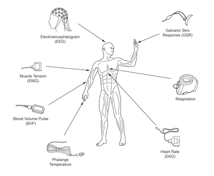 Figura 1 – Sinais do corpo humano
