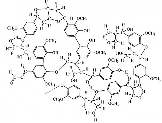 Estrutura da molécula de lignina
