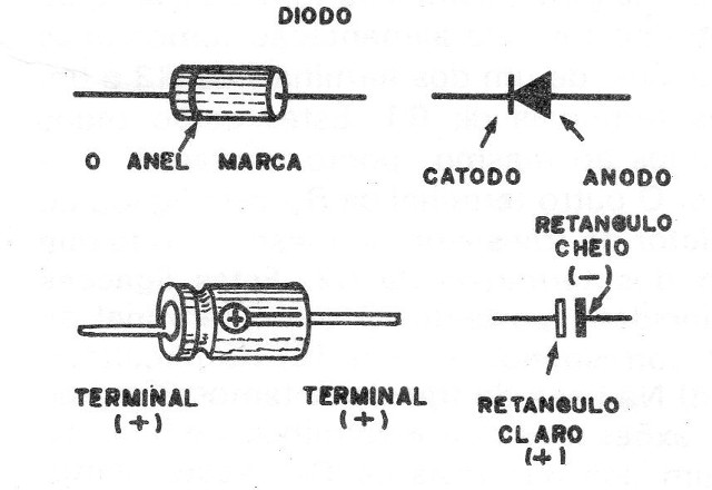 Figura 3 – Componentes polarizados
