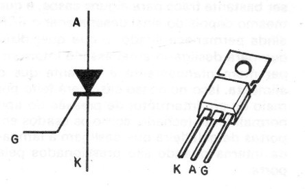 Figura 5
