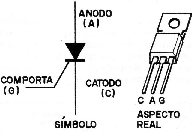 Figura 2
