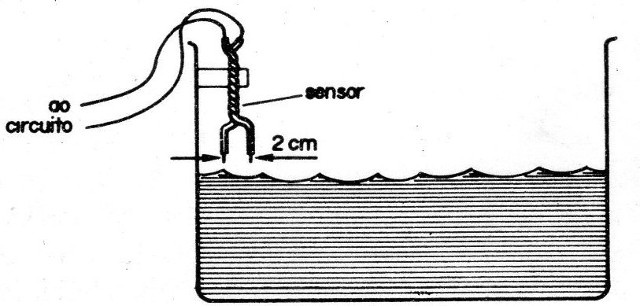 Figura 11
