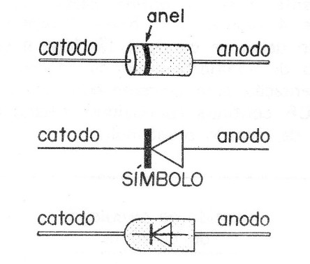 Figura 6
