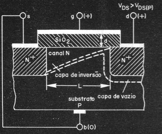 Figura 7
