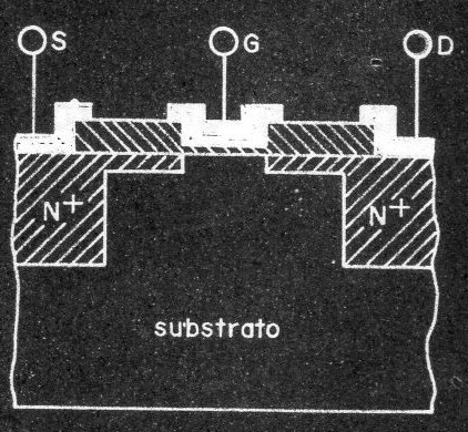 Figura 10
