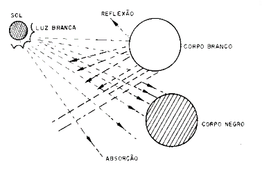 Figura 10 – Corpos brancos e negros
