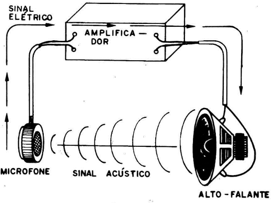 Figura 6
