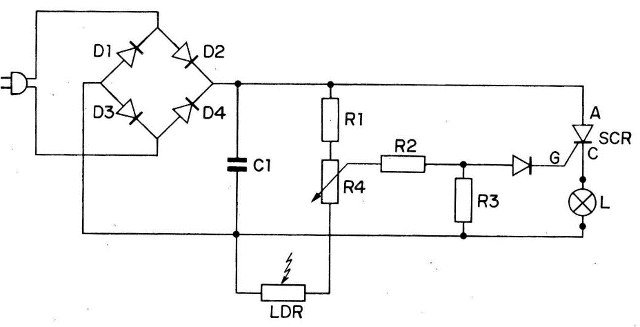 Figura 5
