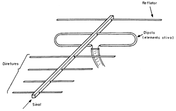 Figura 5
