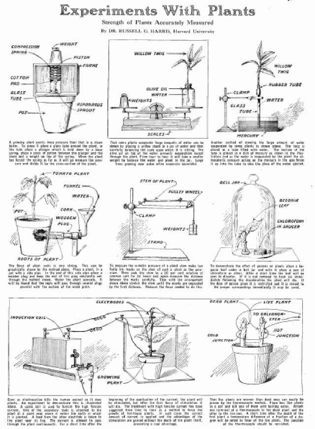 Figura 1 – Página com o artigo original de julho de 1924. 
