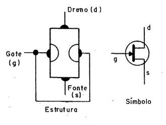 Figura 1
