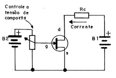 Figura 2
