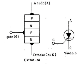 Figura 1
