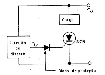 Figura 3
