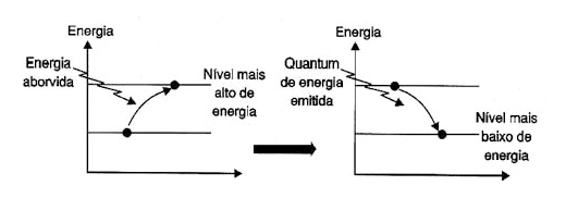 Figura 1
