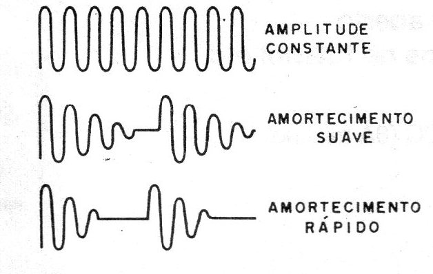    Figura 2 – Oscilações amortecidas
