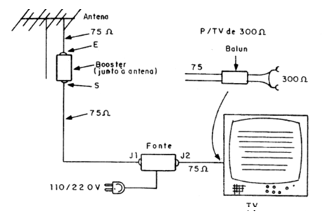 Figura 6
