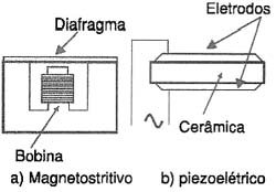 Figura 4 