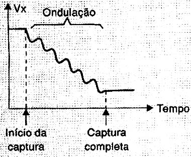 O processo de captura.
