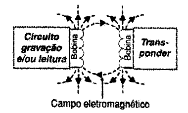 Figura 1 