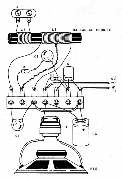 Figura 14 