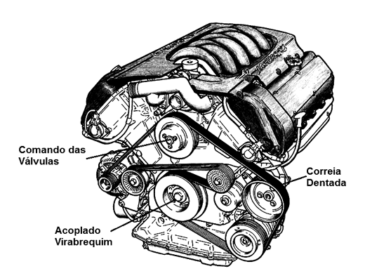 Figura 9 - Correia denteada
