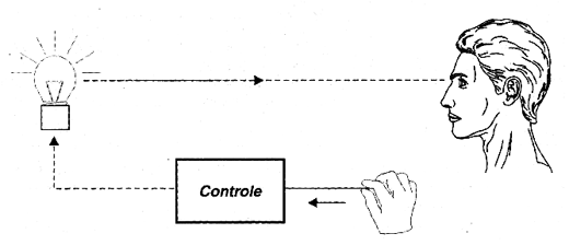 Figura 2 - Biofeedback usando a pressão dos dedos
