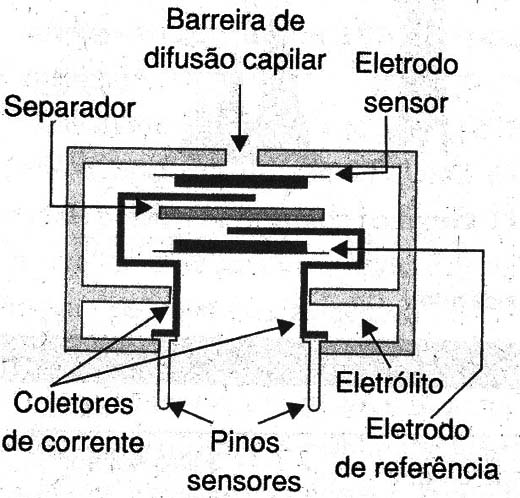 Figura 4
