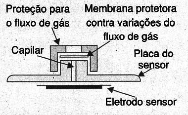 Figura 11
