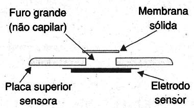 Figura 12
