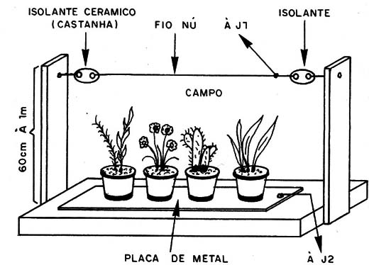 Figura 16 – O fio produtor do campo
