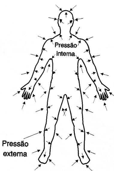 A pressão externa e equilibrada pela pressão interna.
