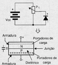 Polarizando um diodo no sentido inverso
