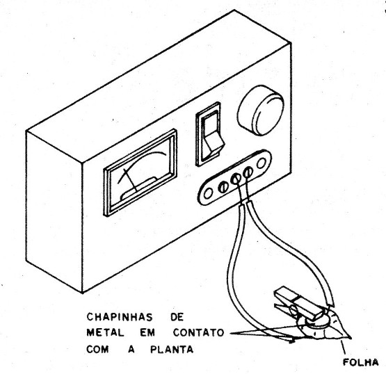    Figura 3 – Detectando atividade elétrica de plantas
