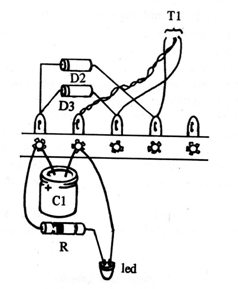 Figura 11
