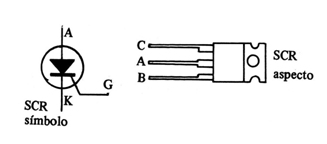 Figura 4
