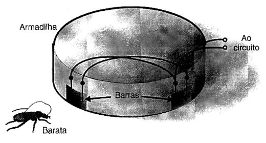 O circuito mata-baratas