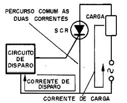 Sentido comum para as duas correntes. 