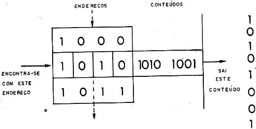 Organização de uma memória. 