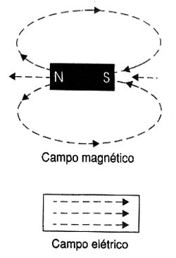 Substâncias ferroelétricas apresentam multidomínios elétricos. 